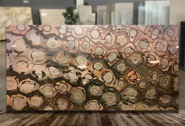 Brazilian Fossil Quartzite