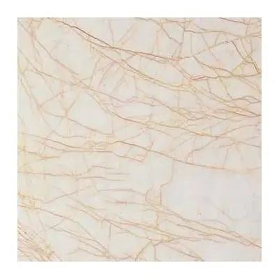 Golden Spider Marble